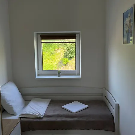 Mlynski Apartamento Mykulychyn
