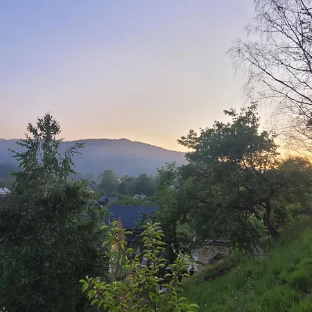 Appartement Mlynski *