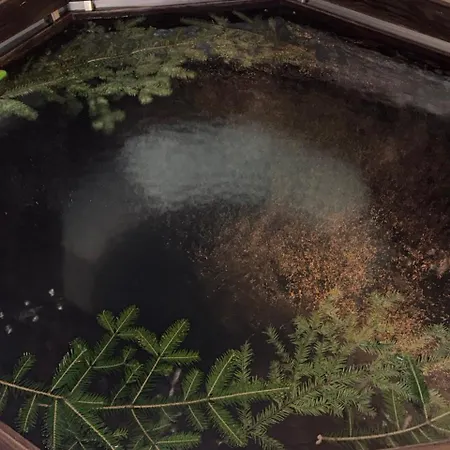 Mlynski Apartamento *