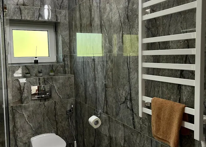 Mlynski Apartment Mykulychyn